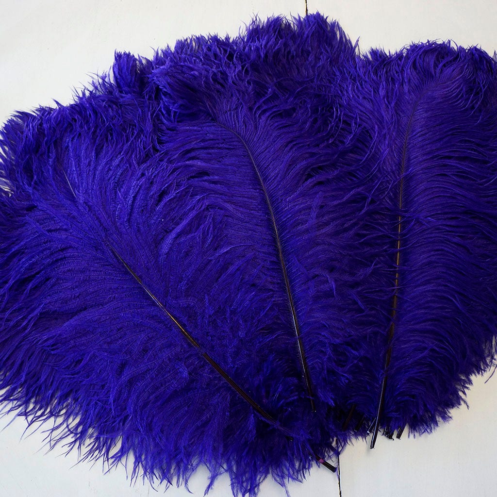 Large Ostrich Feathers - 17’’ + Drabs - Regal - 12 pieces - Ostrich Feathers