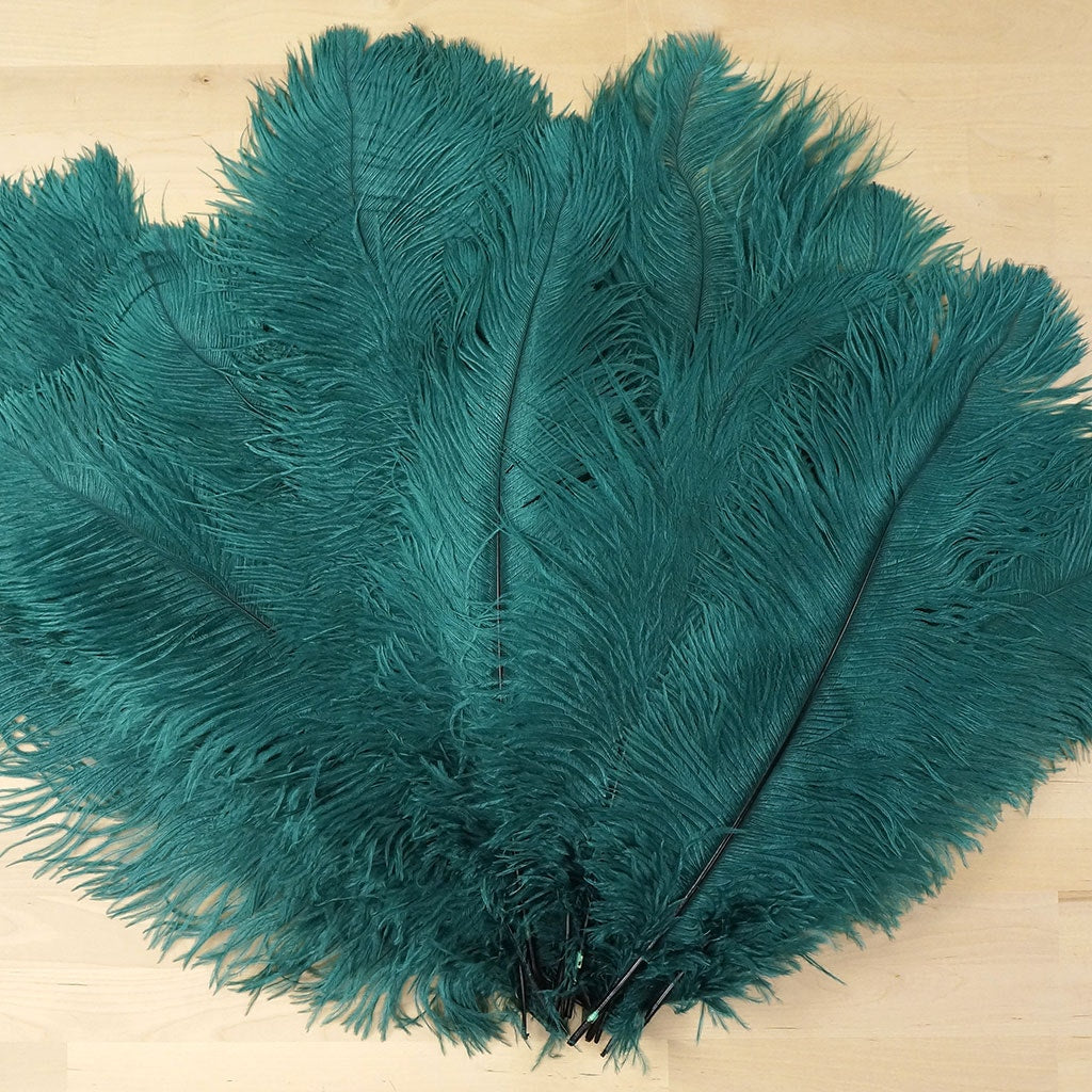 Large Ostrich Feathers - 17’’ + Drabs - Teal - 12 pieces - Ostrich Feathers