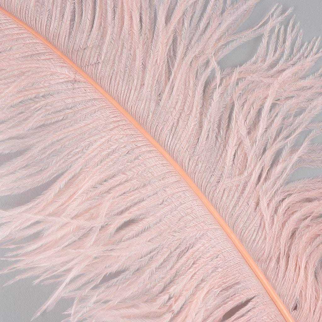 Large Ostrich Feathers - 18-24’’ Spads - Champagne - 12 pieces - Ostrich Feathers