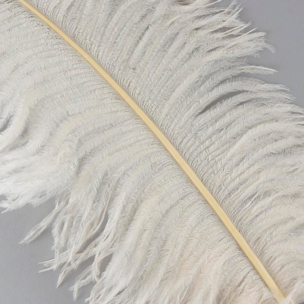 Large Ostrich Feathers - 18-24’’ Spads - Ivory - 12 pieces - Ostrich Feathers