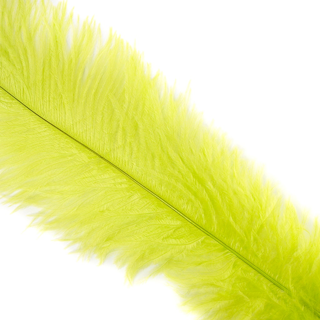 Large Ostrich Feathers - 18-24’’ Spads - Lime - 12 pieces - Ostrich Feathers