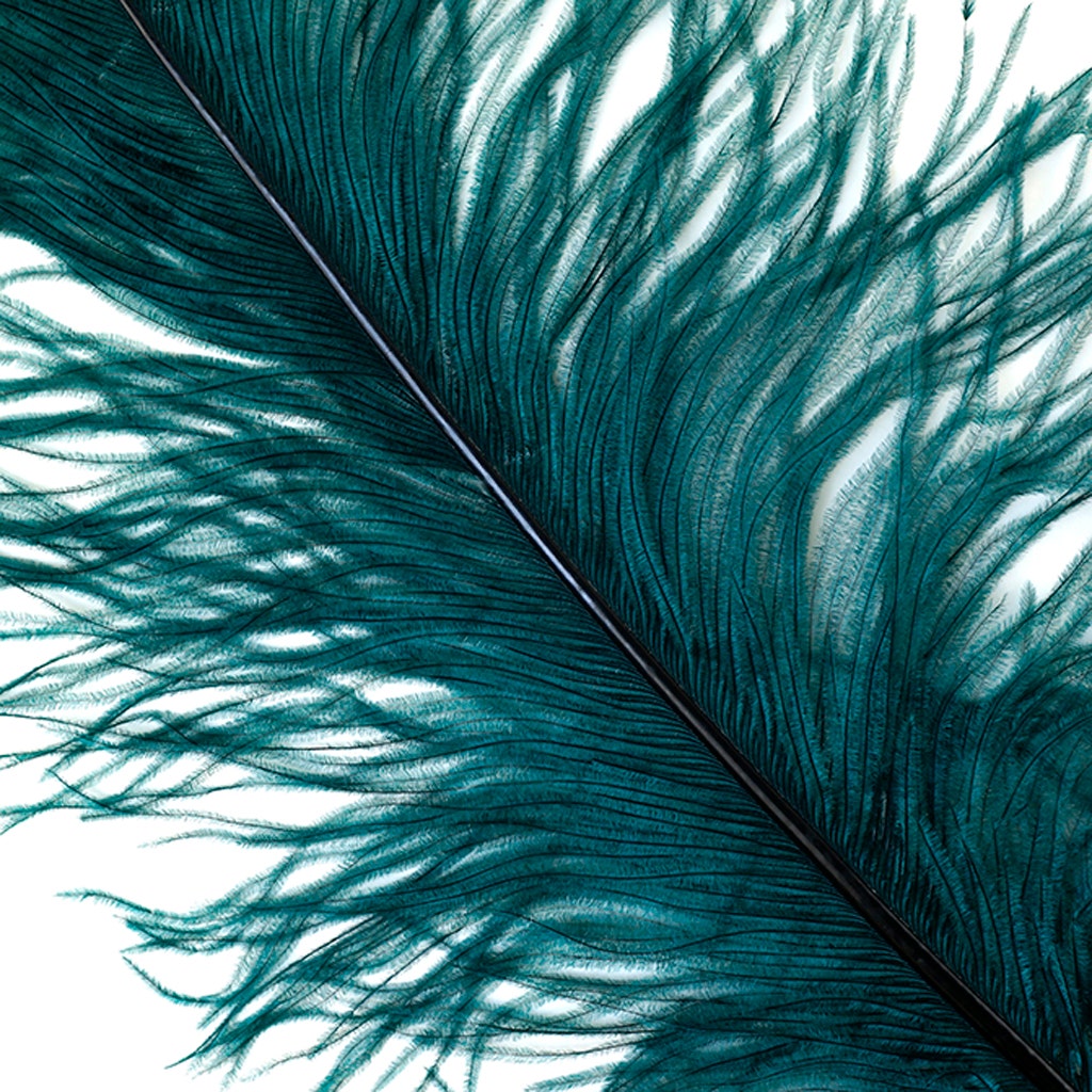 Large Ostrich Feathers - 18-24’’ Spads - Teal - 12 pieces - Ostrich Feathers