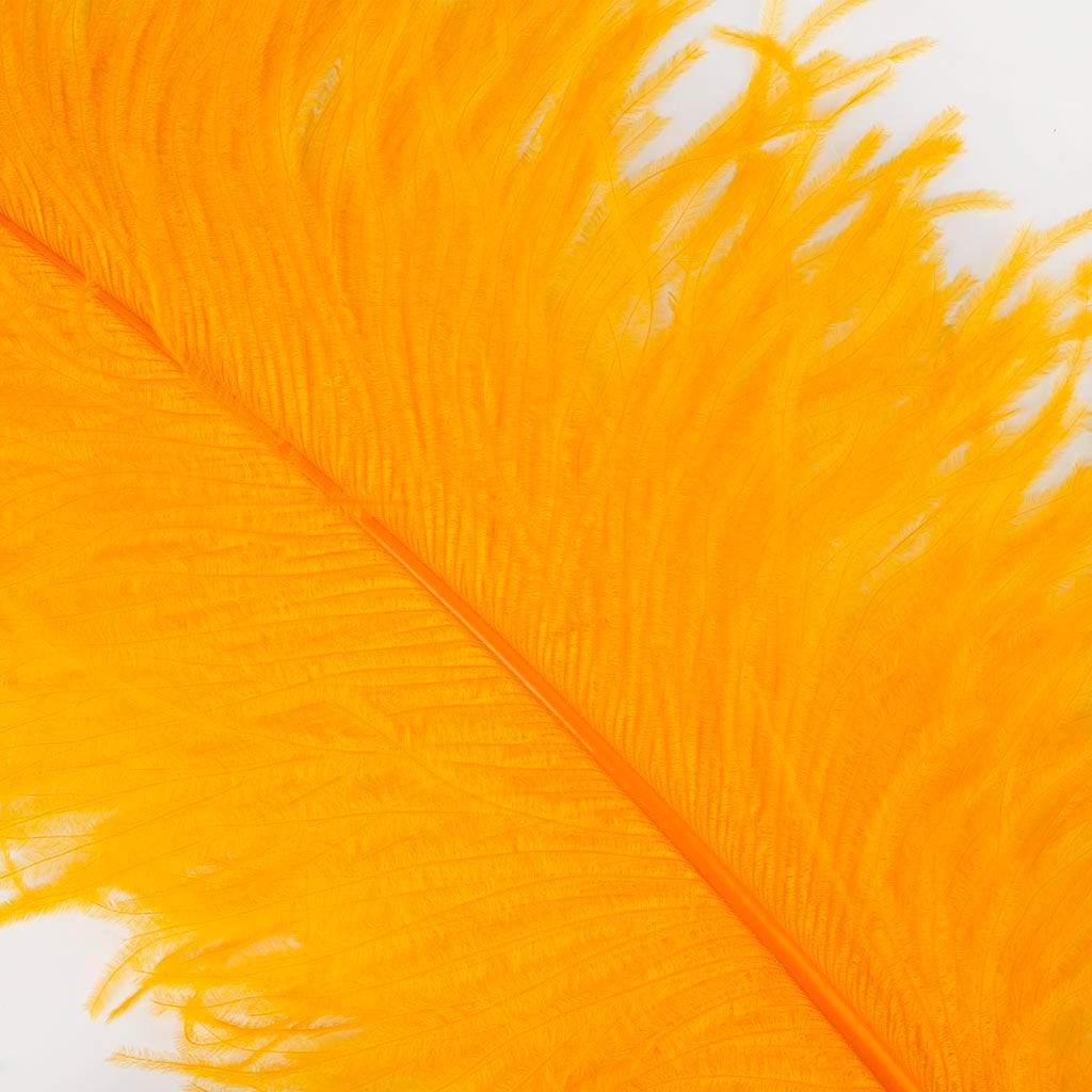 Large Ostrich Feathers - 20-25’’ Prime Femina Plumes - Mango - 25 pieces - Ostrich Feathers