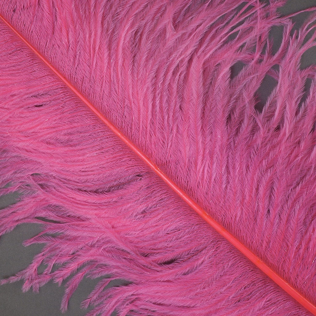 Large Ostrich Feathers - 20-25’’ Prime Femina Plumes - Pink Orient - 6 pieces - Ostrich Feathers