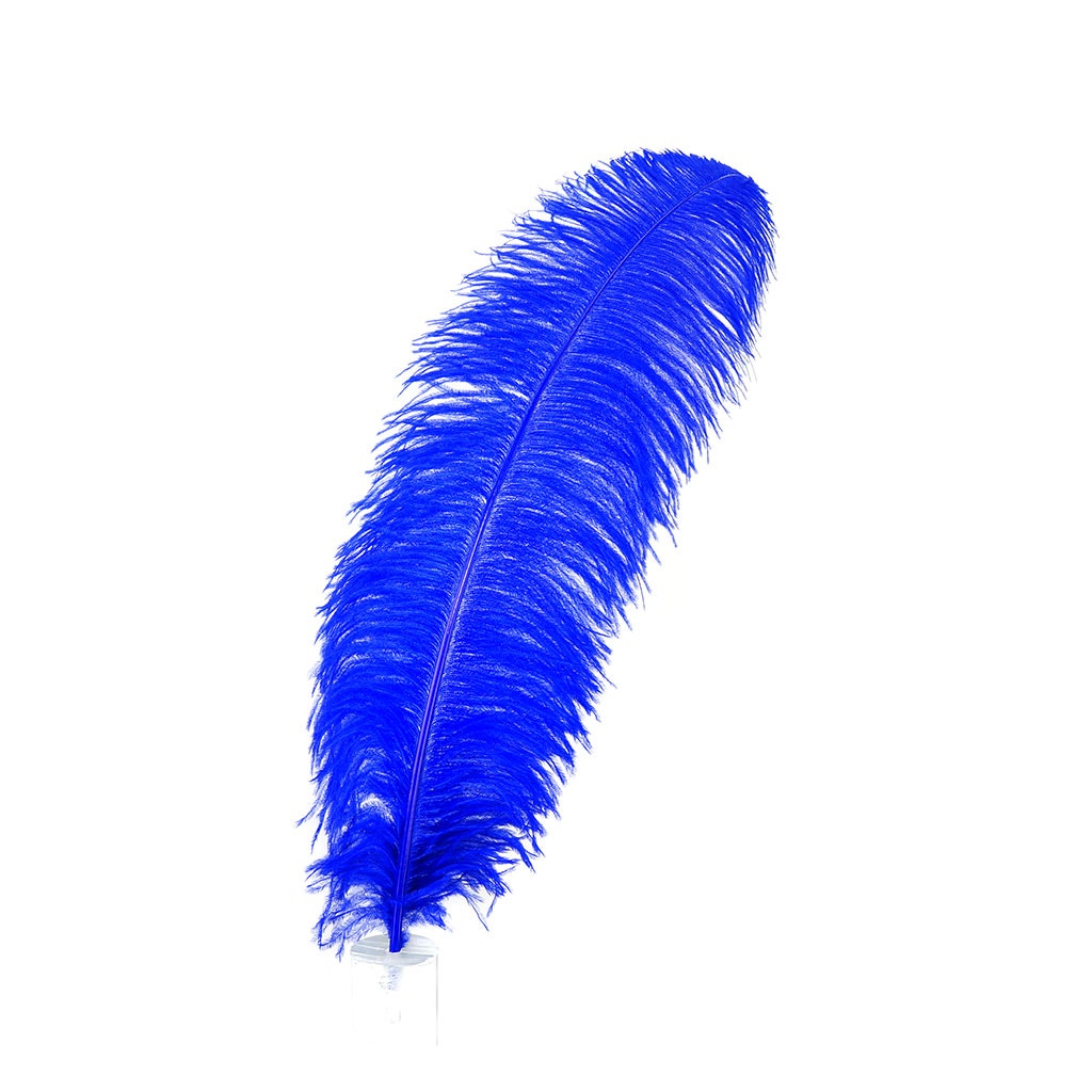 Large Ostrich Feathers - 20-25’’ Prime Femina Plumes - Royal - 1 piece - Ostrich Feathers