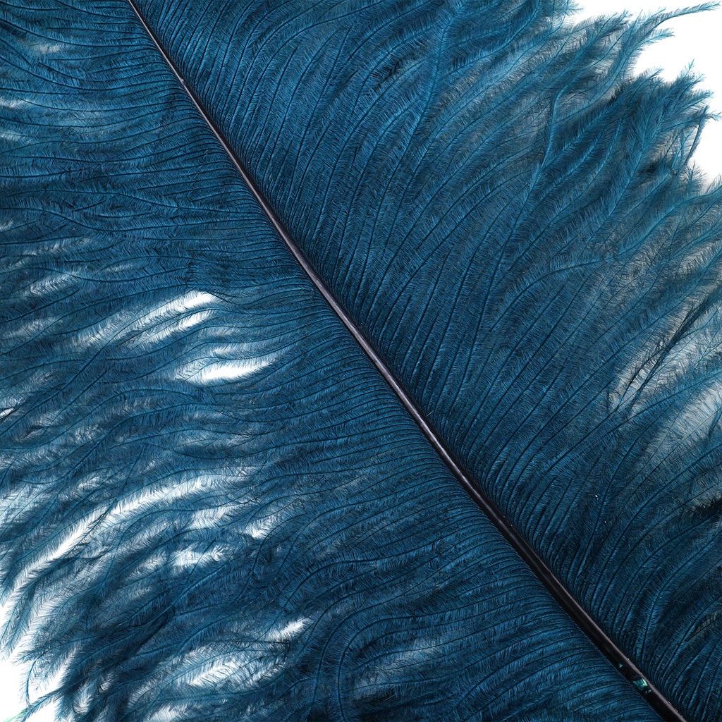 Large Ostrich Feathers - 20-25’’ Prime Femina Plumes - Teal - 25 pieces - Ostrich Feathers