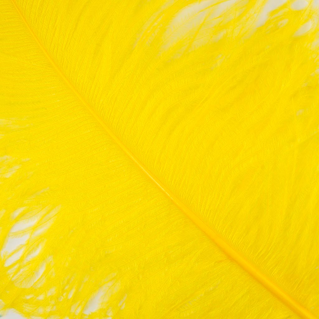 Large Ostrich Feathers - 20-25’’ Prime Femina Plumes - Yellow - 6 pieces - Ostrich Feathers