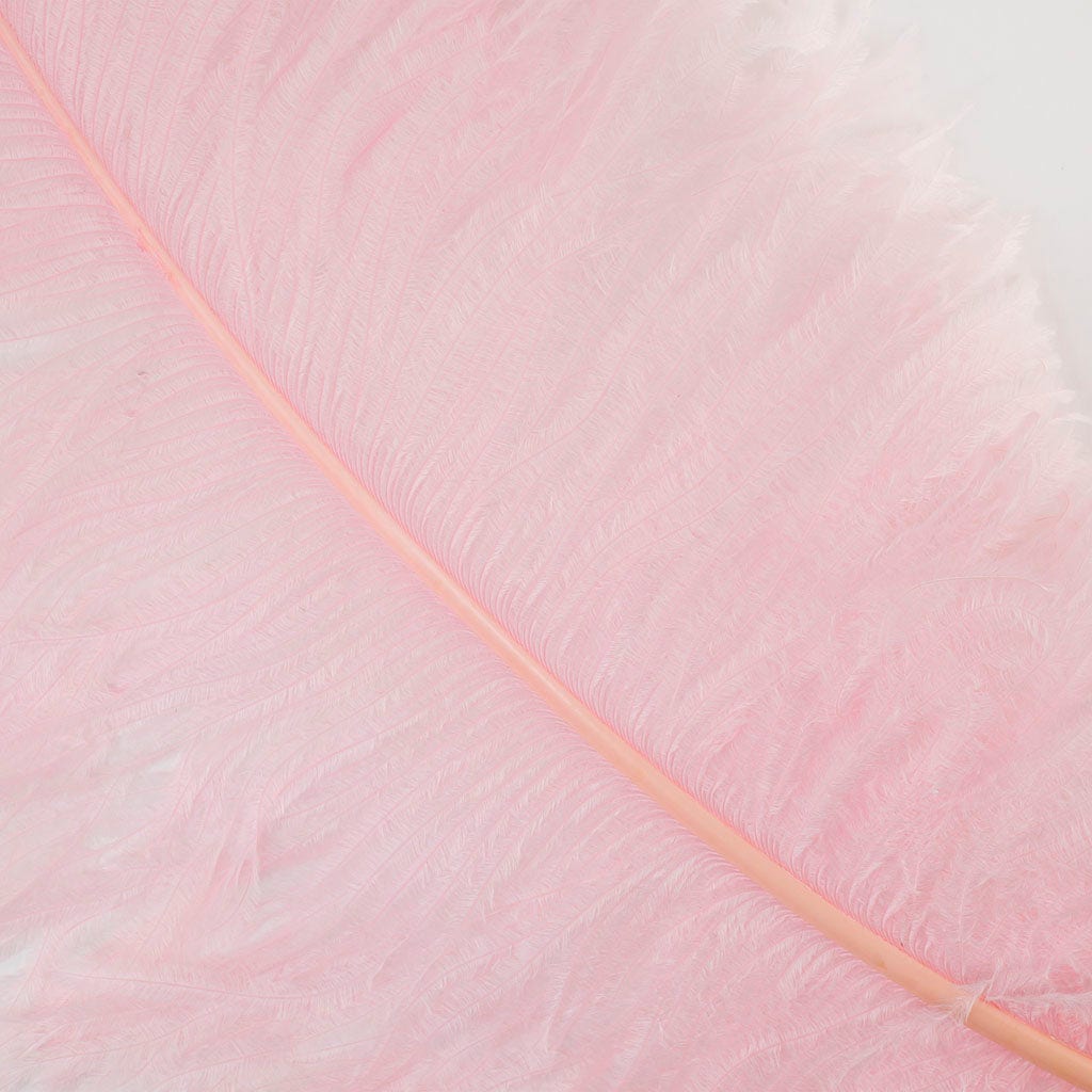 Large Ostrich Feathers - 24-30’’ Prime Femina Plumes - Candy Pink - 6 pieces - Ostrich Feathers