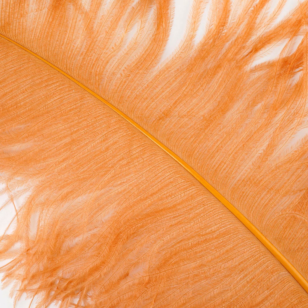 Large Ostrich Feathers - 24-30’’ Prime Femina Plumes - Cinnamon - 6 pieces - Ostrich Feathers
