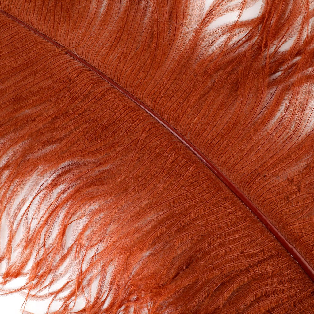 Large Ostrich Feathers - 24-30’’ Prime Femina Plumes - Copper - 6 pieces - Ostrich Feathers