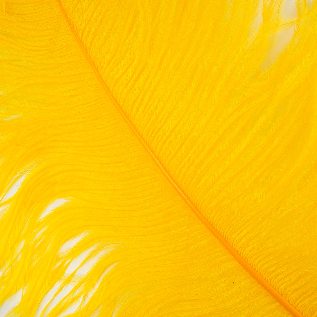 Large Ostrich Feathers - 24-30’’ Prime Femina Plumes - Gold - 6 pieces - Ostrich Feathers