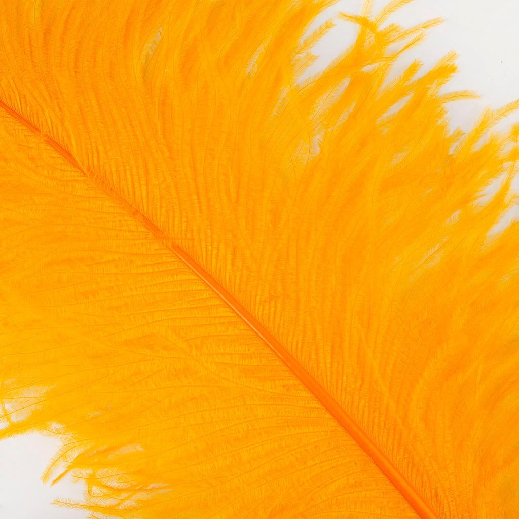 Large Ostrich Feathers - 24-30’’ Prime Femina Plumes - Mango - 6 pieces - Ostrich Feathers