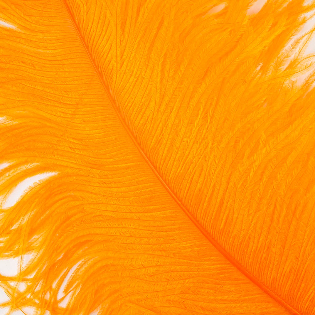 Large Ostrich Feathers - 24-30’’ Prime Femina Plumes - Orange - 6 pieces - Ostrich Feathers