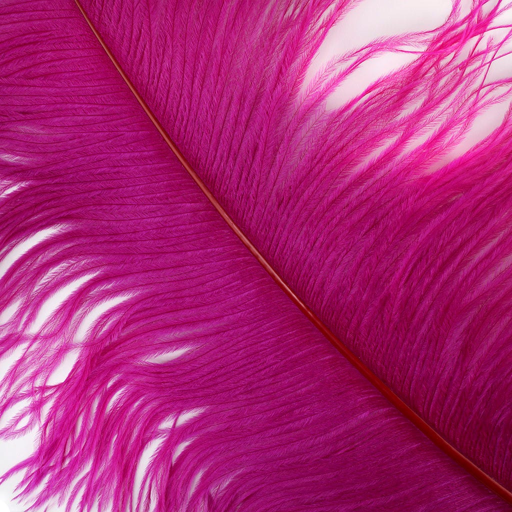 Large Ostrich Feathers - 24-30’’ Prime Femina Plumes - Very Berry - 6 pieces - Ostrich Feathers