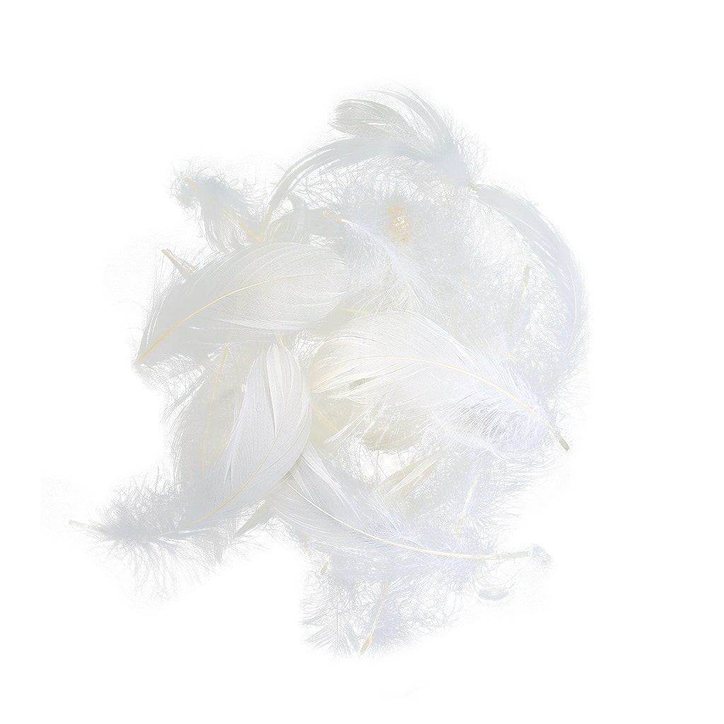 Loose Goose Coquille Dyed - White - Feathers