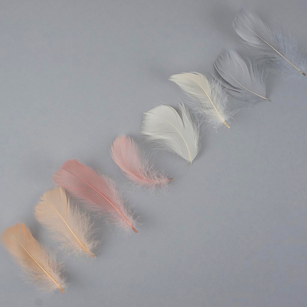 Loose Goose Coquille Mix Dyed Bliss Mix - Feathers