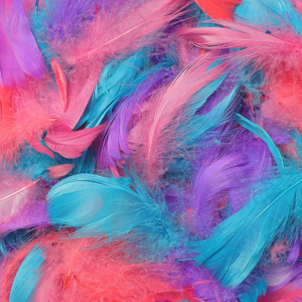 Loose Goose Coquille Mix Dyed - Coral Reef Mix - Feathers