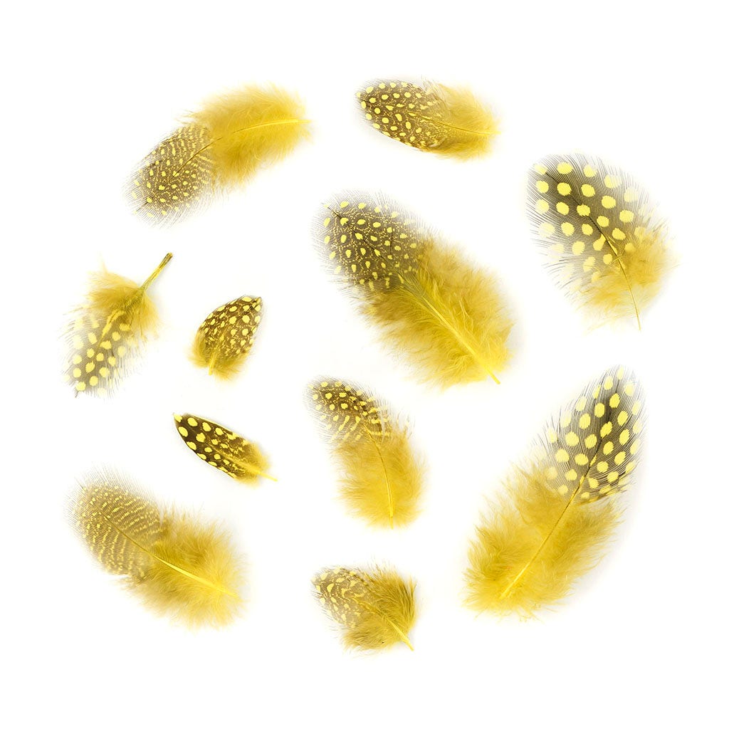 Loose Guinea Plumage Dyed - Fluorescent Yellow - 0.1 oz (approx. 50 pcs) - Feathers