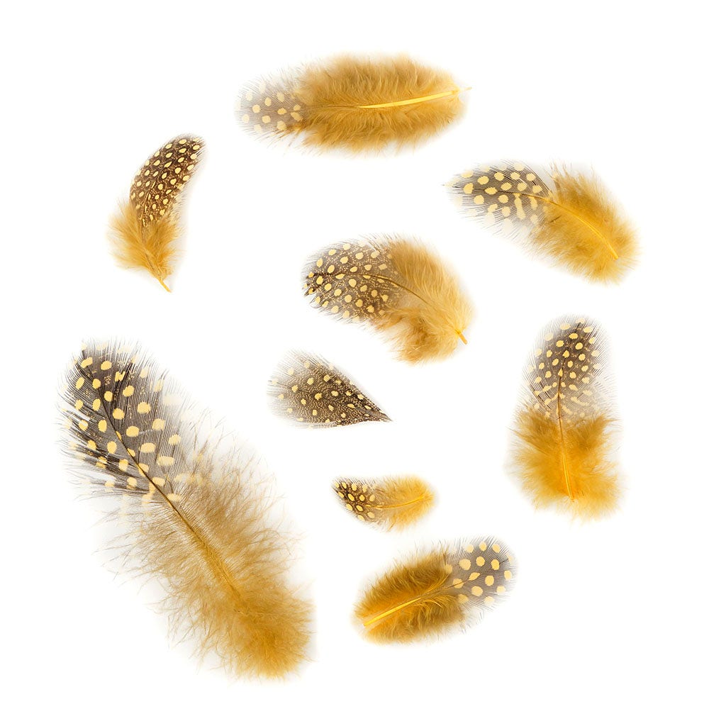 Loose Guinea Plumage Natural - Gold - Feathers