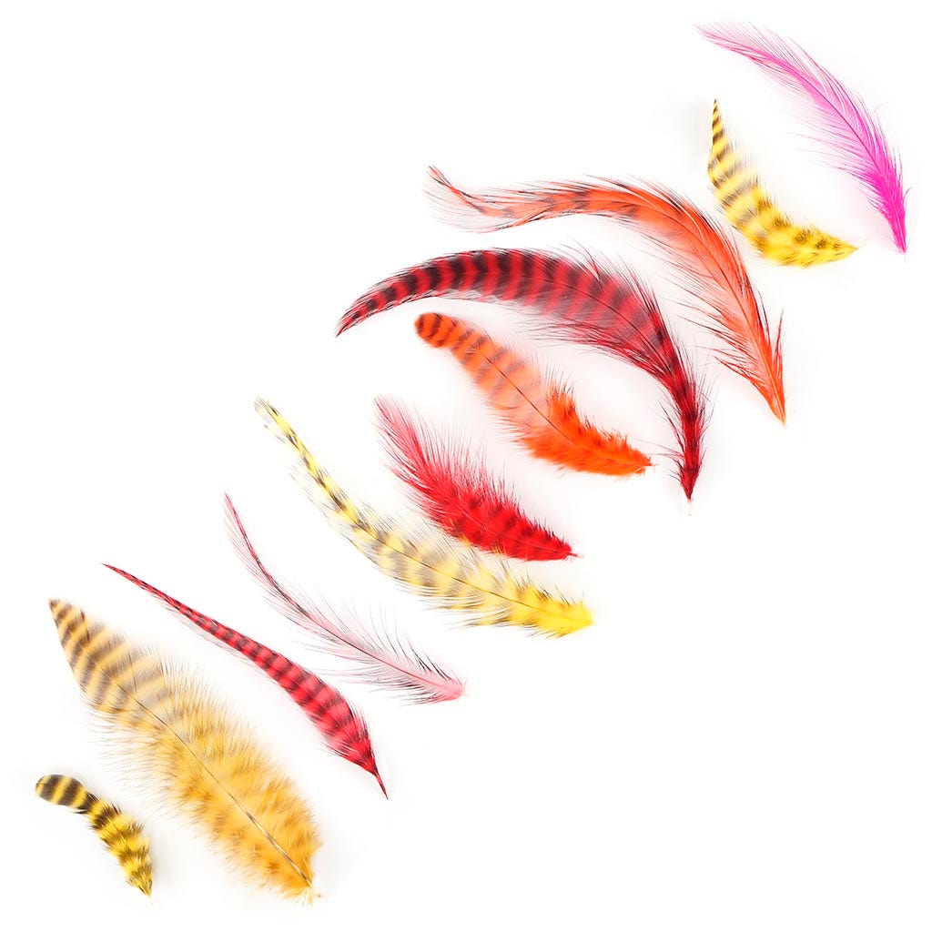 Loose Rooster Chinchilla Mixed Dyed Hot - Feathers