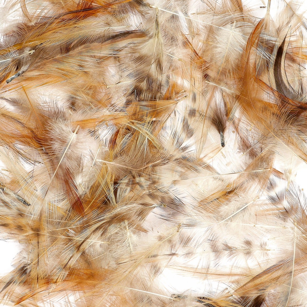 Loose Rooster Natural Red Hackle - Natural - Feathers