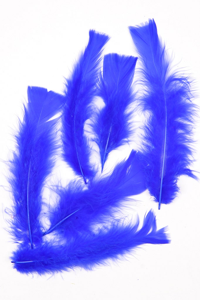 Loose Turkey Flats Dyed - Royal - Feathers