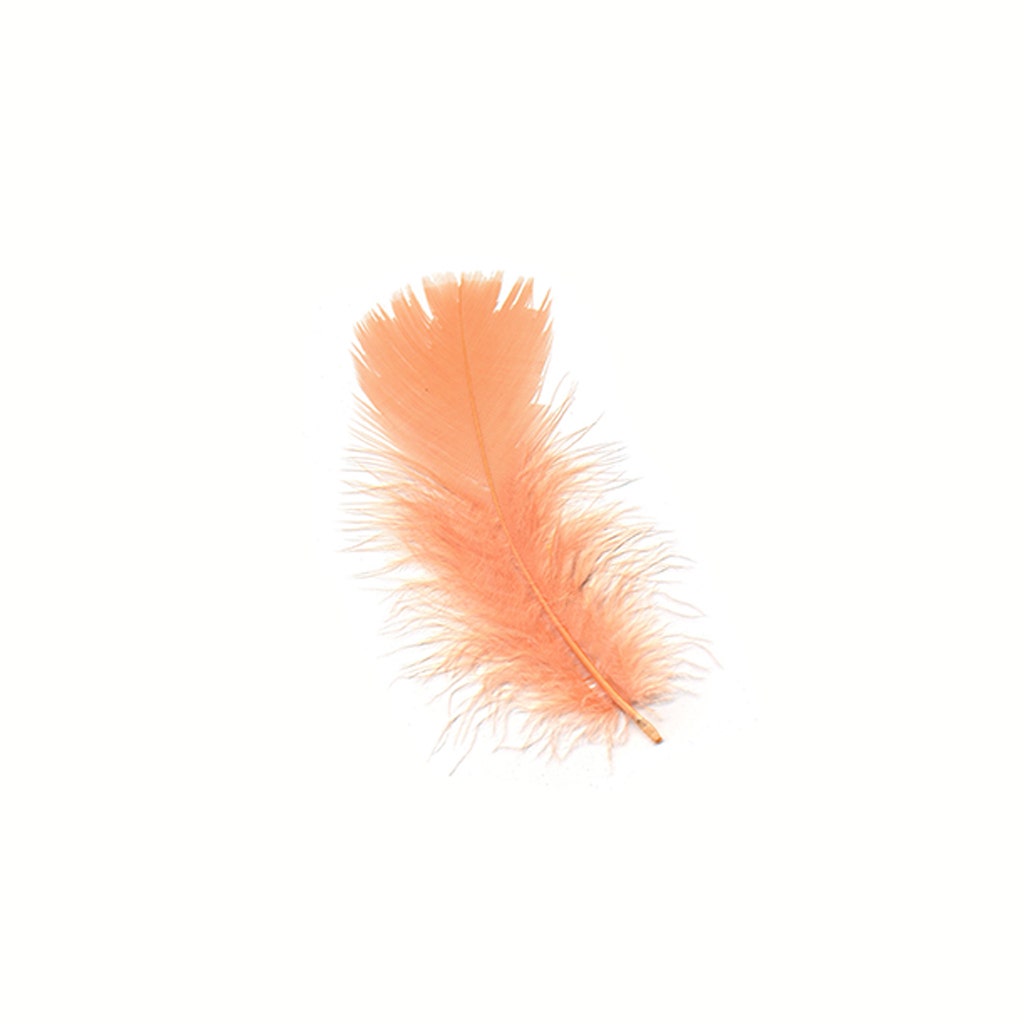 Loose Turkey Plumage Feathers - 1/4 lb - Shrimp - Feathers