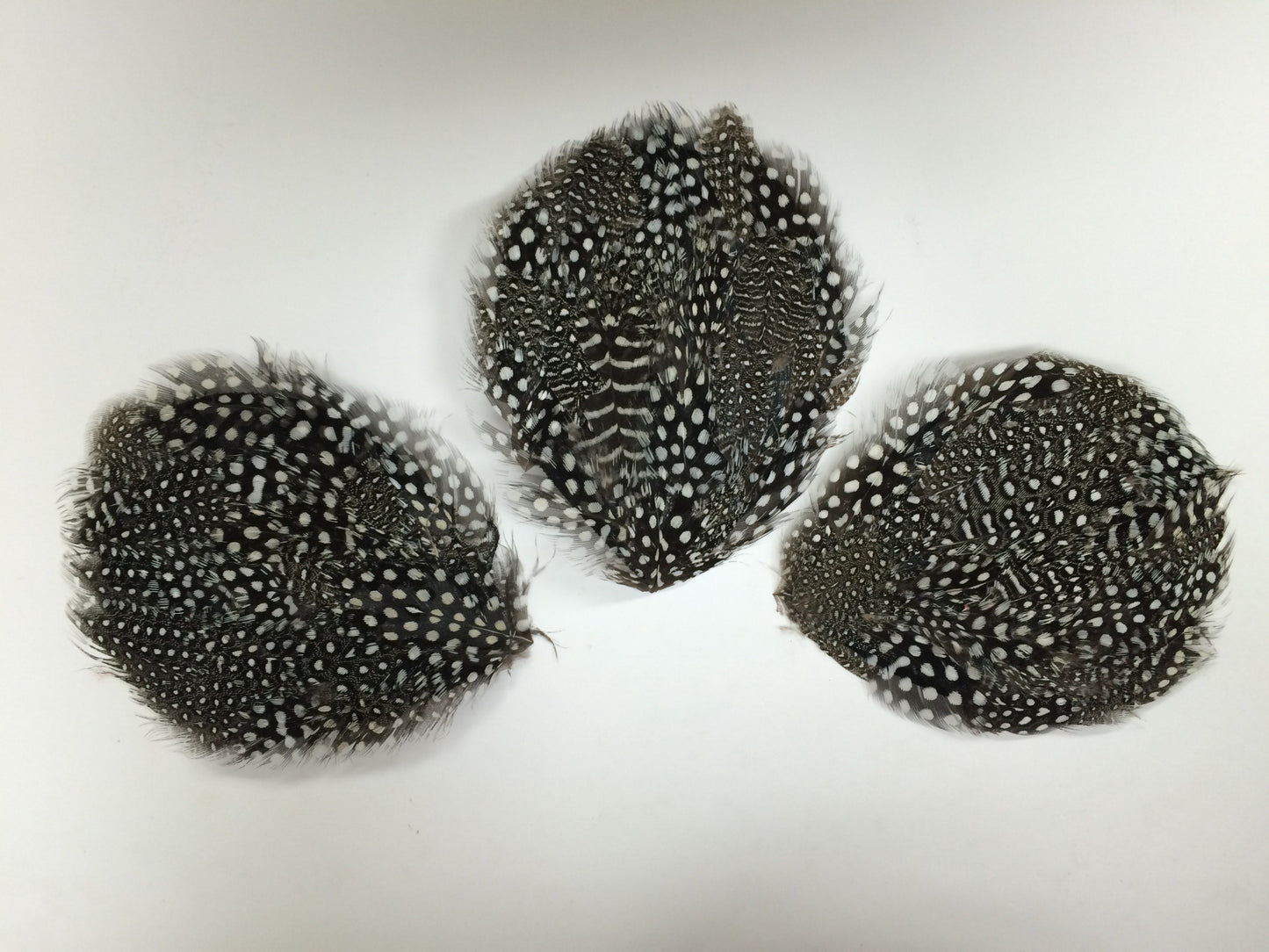 Natural Guinea Feather Pad - Natural - Feathers