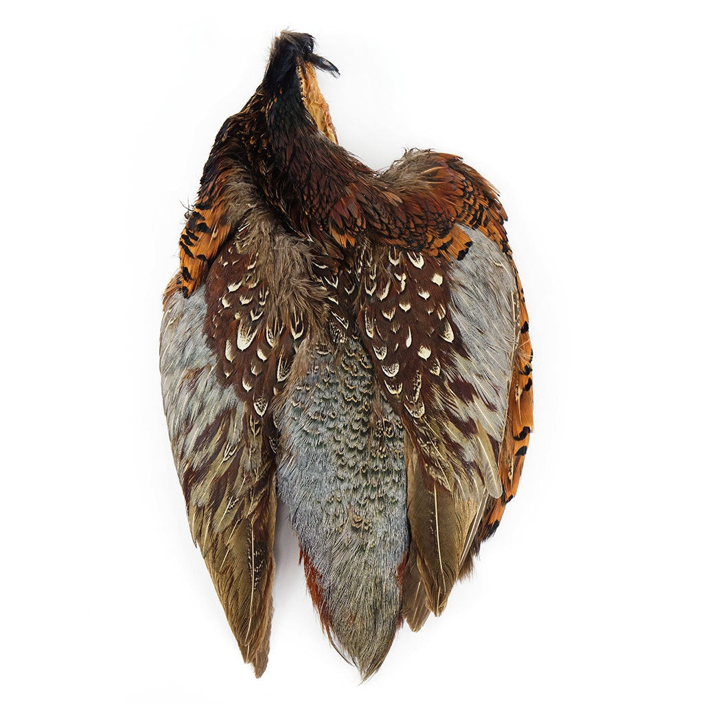 Natural Ringneck Pheasant Pelt - No Neck - 1 PC - Feathers