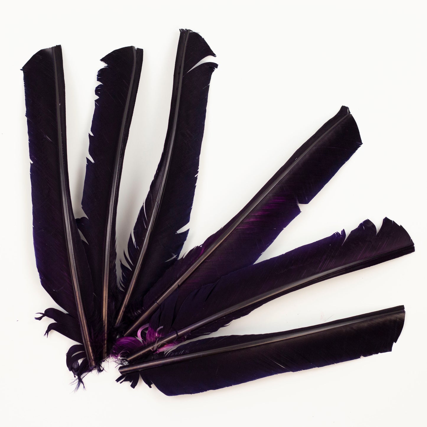 Navy Cut Turkey Pointer Feathers 8-12"
