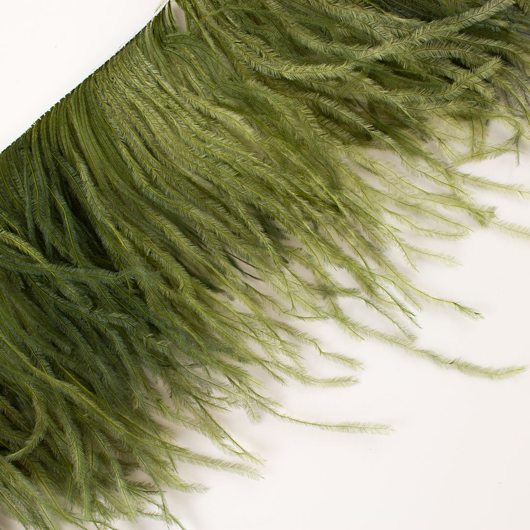 Olive Green Ostrich Feathers Fringe 2 Ply