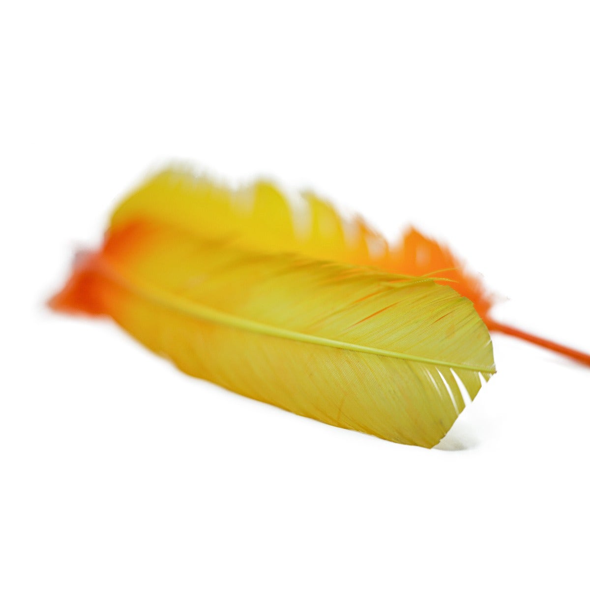 Ombré Turkey Quill Feathers 10-12” 2 pc- Gold - Orange - Feathers
