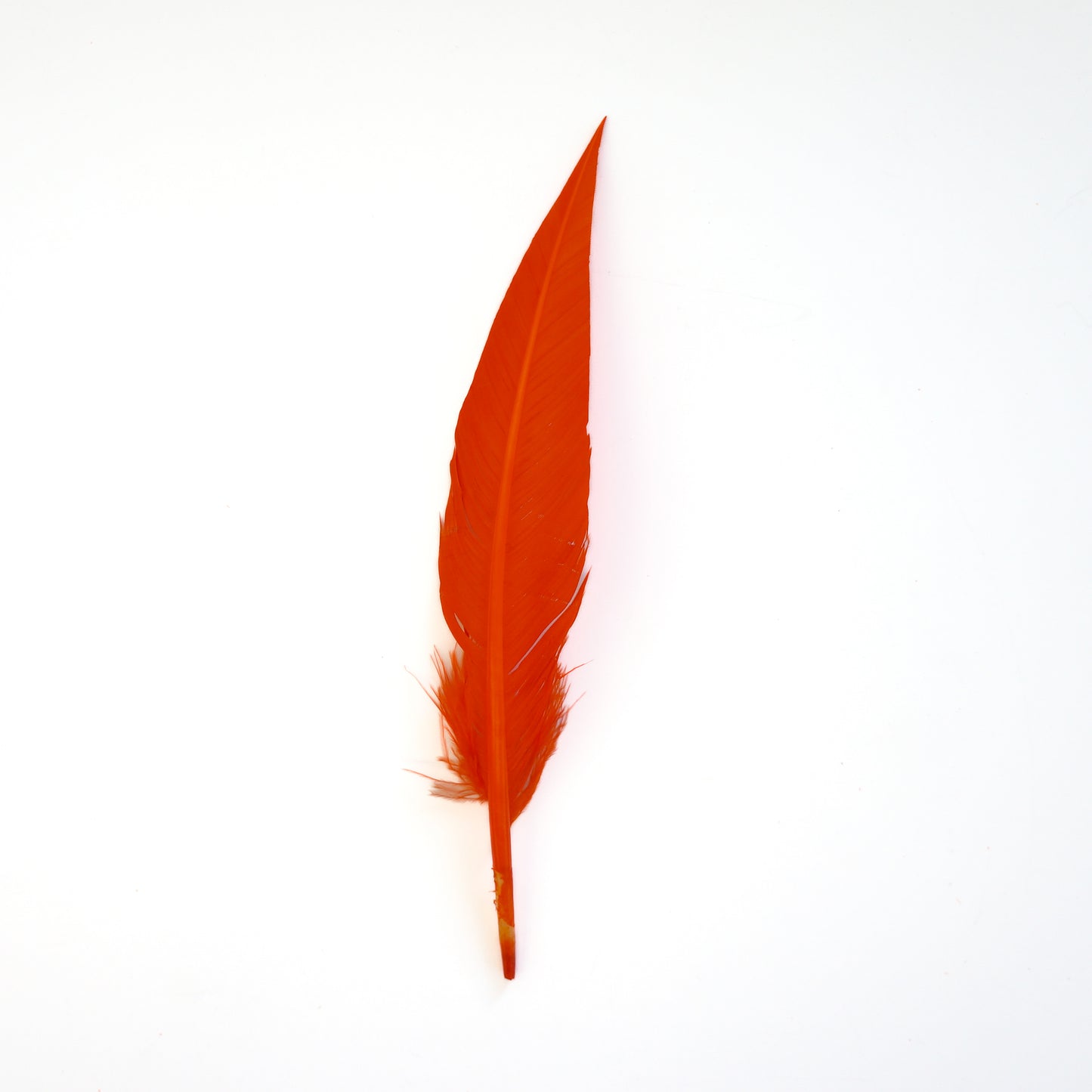 Orange Dagger Turkey Quill Feathers 9-12"