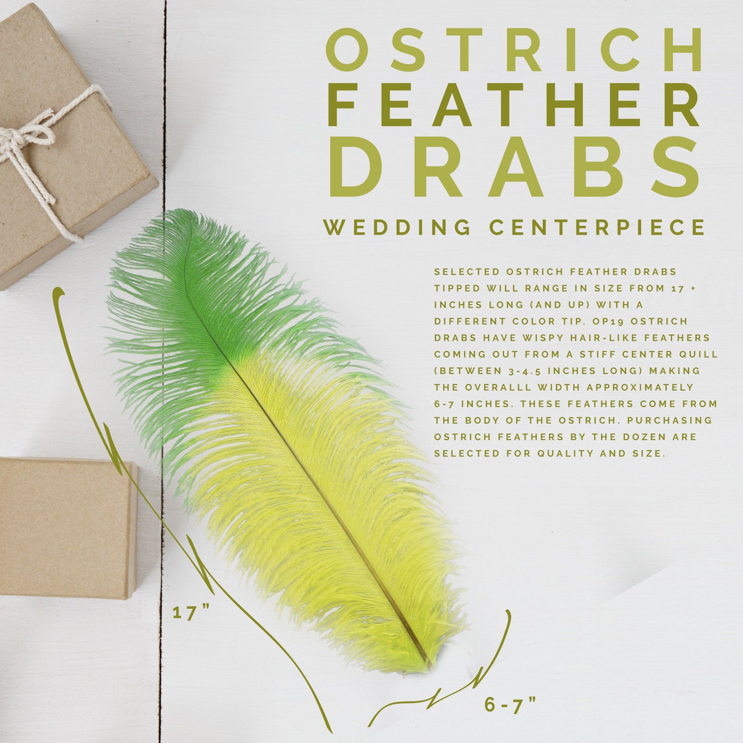 Ostrich Feather Drabs Tipped Selected - Lime - Kelly - Feathers
