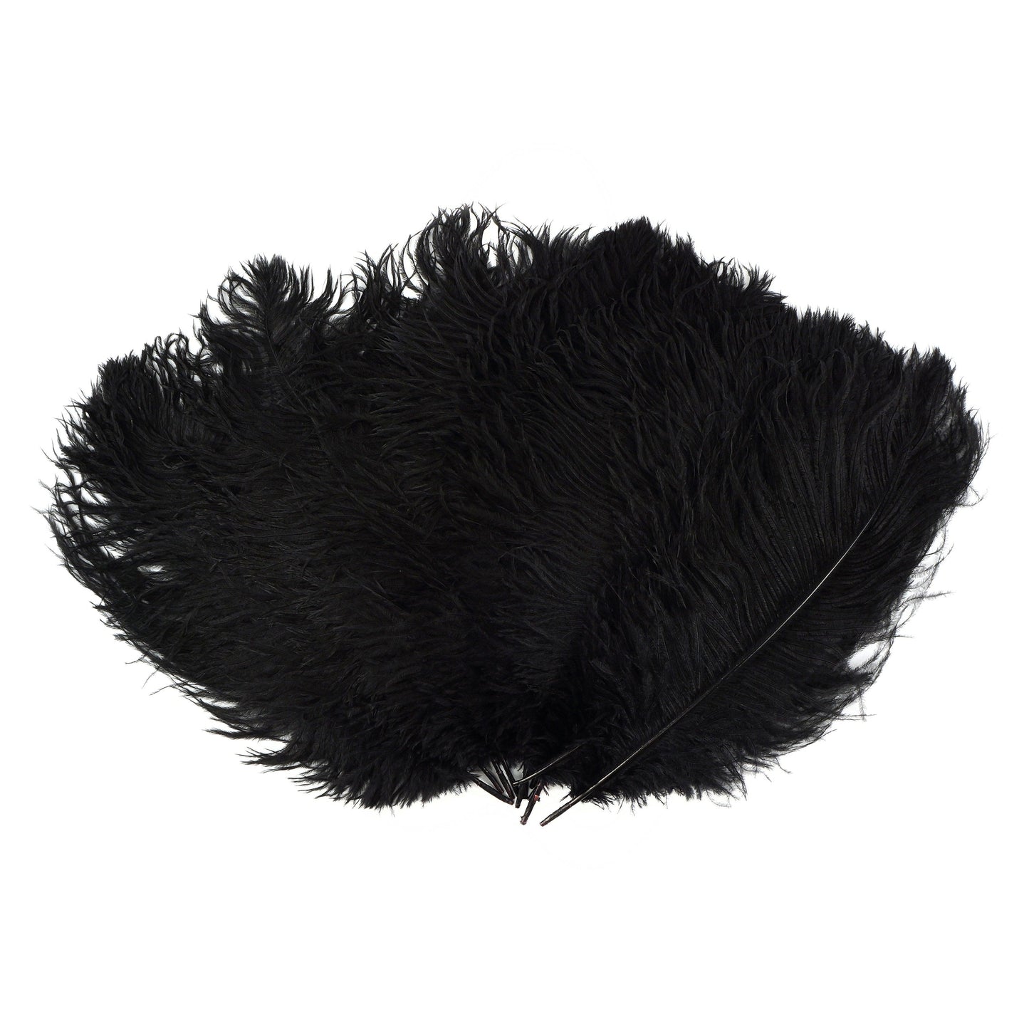 Ostrich Feathers 13-16’’ Drabs - Black - 12 pieces - Ostrich Feathers