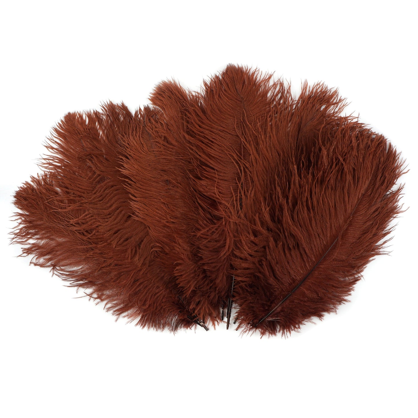 Ostrich Feathers 13-16’’ Drabs - Copper - 25 pieces - Ostrich Feathers