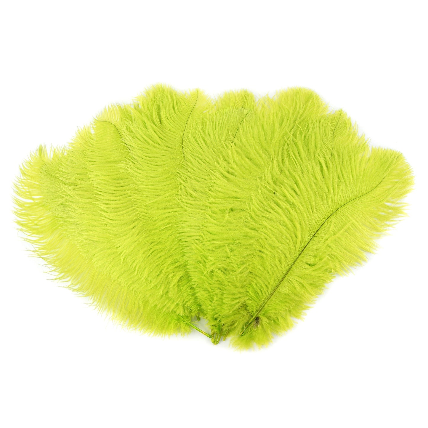 Ostrich Feathers 13-16’’ Drabs - Lime - 25 pieces - Ostrich Feathers