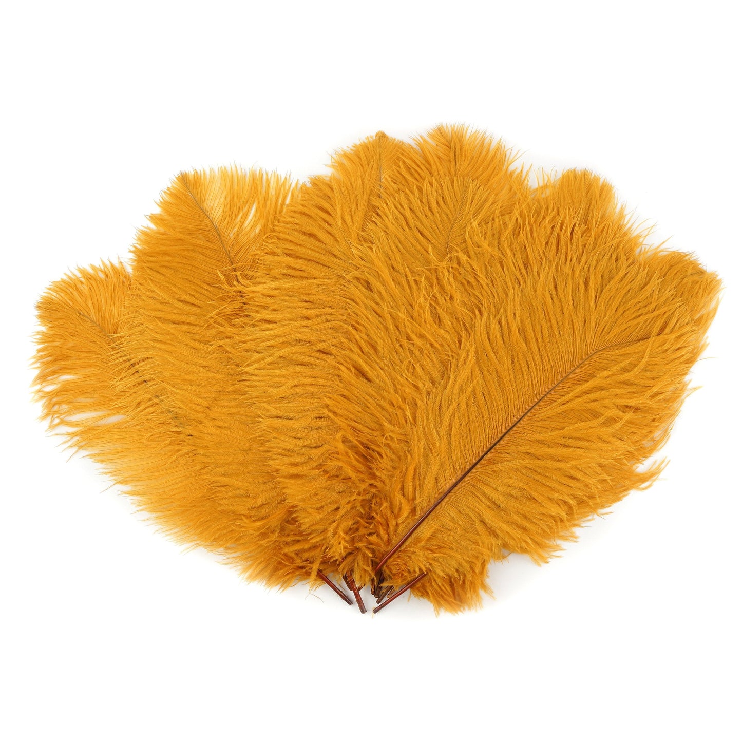 Ostrich Feathers 13-16’’ Drabs - Marigold - 25 pieces - Ostrich Feathers