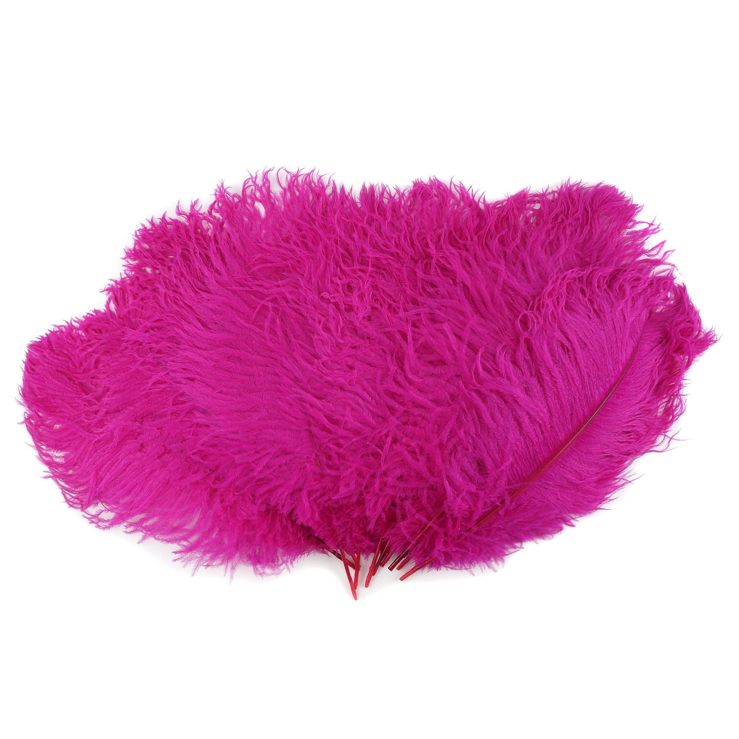 Ostrich Feathers 13-16’’ Drabs - Shocking Pink - 12 pieces - Ostrich Feathers