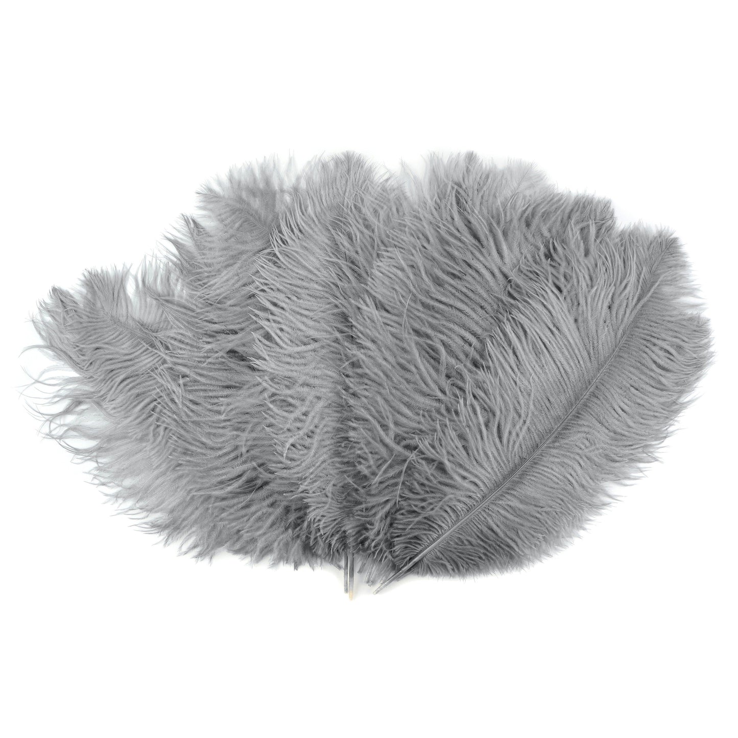 Ostrich Feathers 13-16’’ Drabs - Silver - 12 pieces - Ostrich Feathers
