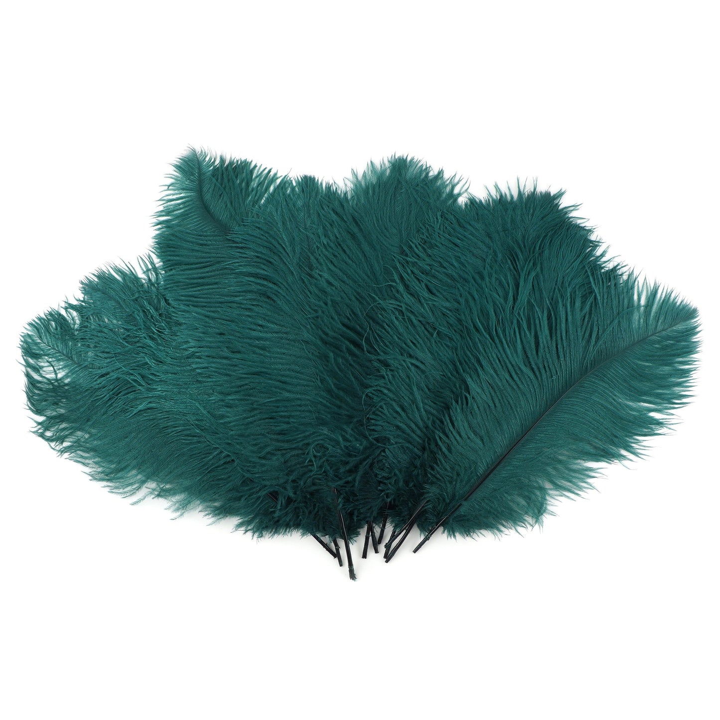 Ostrich Feathers 13-16’’ Drabs - Teal - 12 pieces - Ostrich Feathers