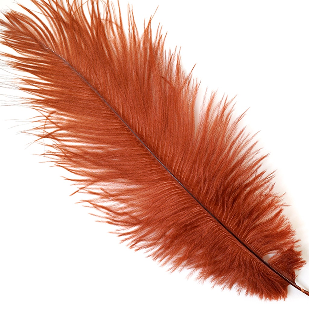 Copper Ostrich Feather Drabs-9-12 Inches -12pcs For Sale Buy