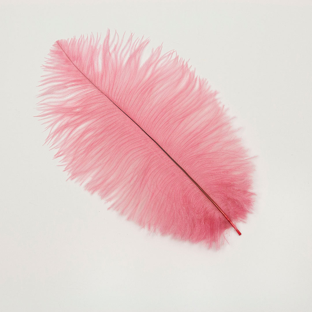 Ostrich Feathers 9-12’’ Drabs - Met Gala Potpourri - Ostrich Feathers
