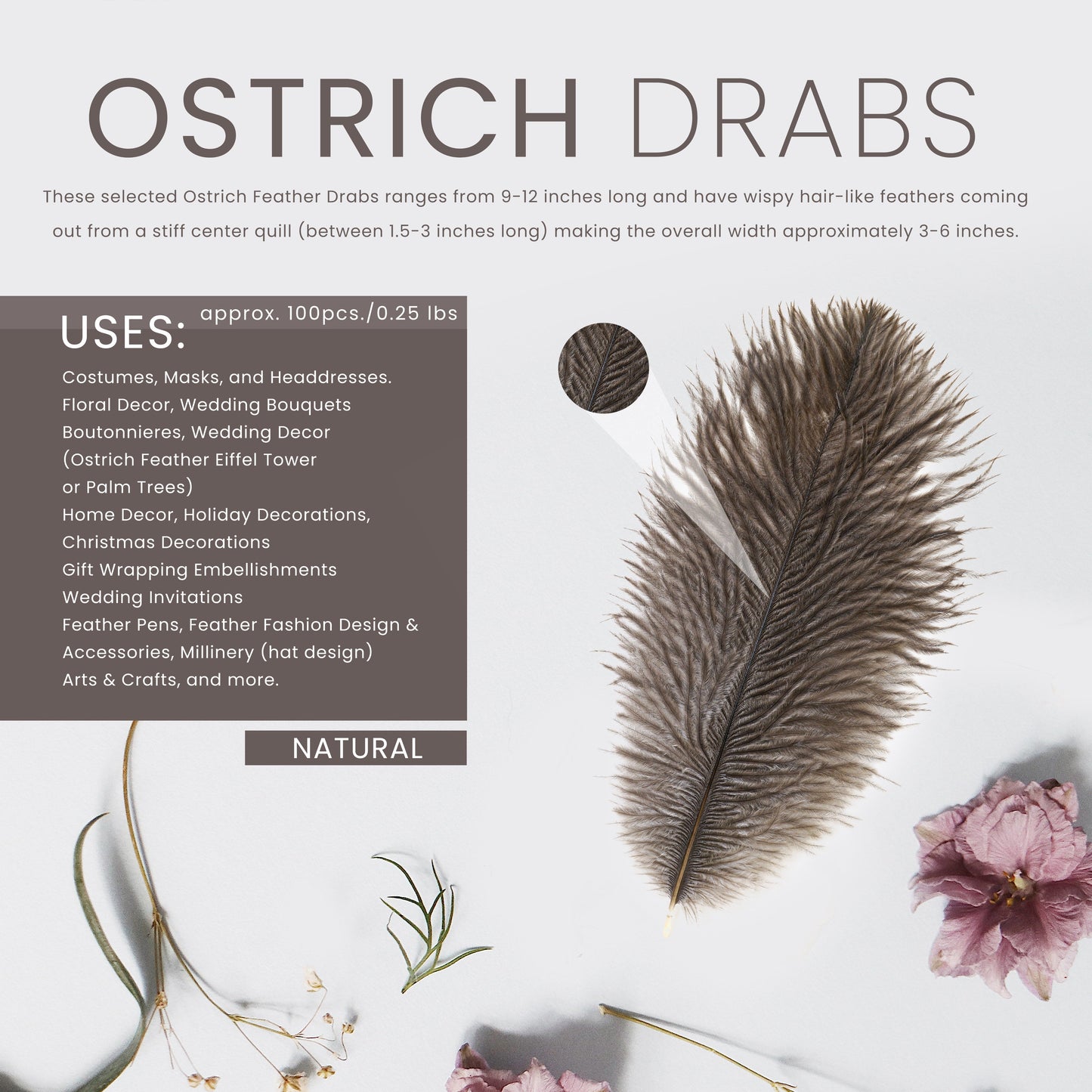 Ostrich Feathers 9-12’’ Drabs - Natural - Ostrich Feathers