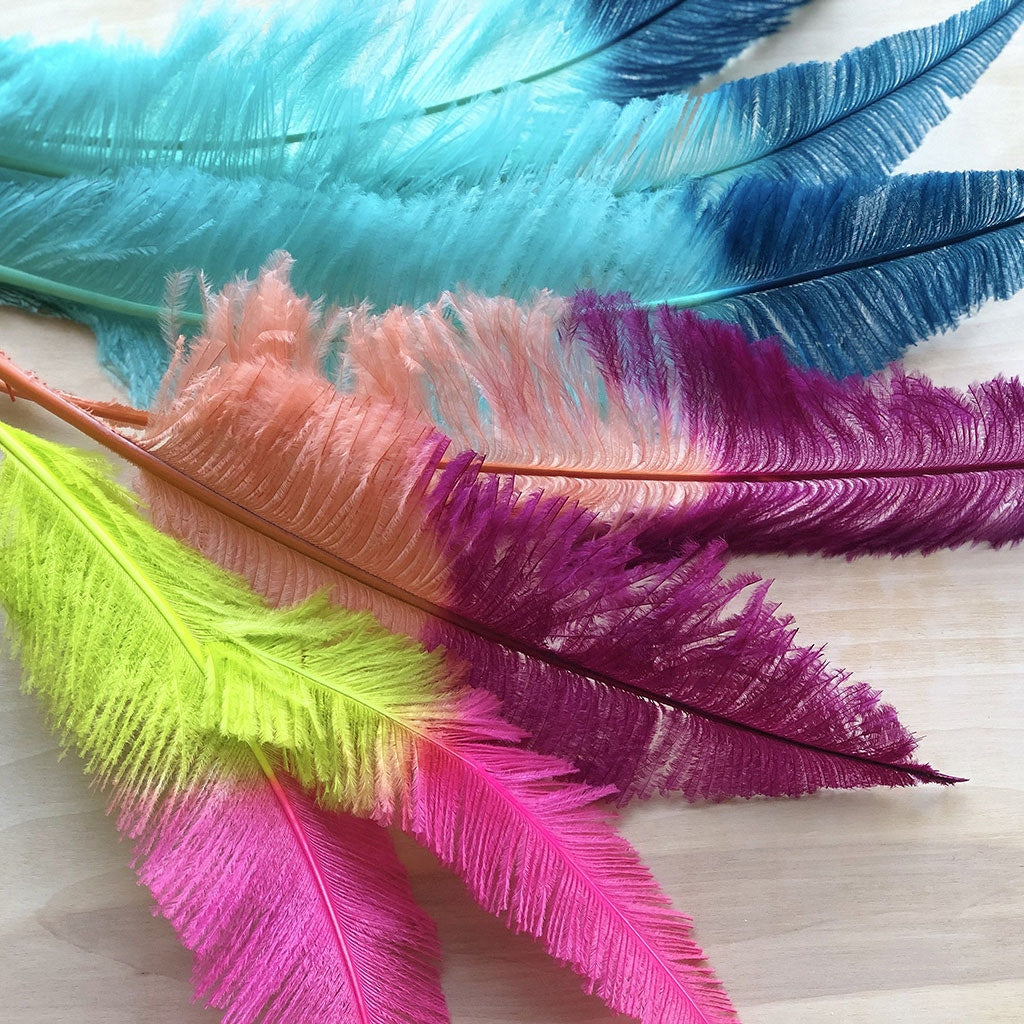 Ostrich Nandu Tipped Feathers Selected - Fl Lime Green - Shocking Pink - Feathers