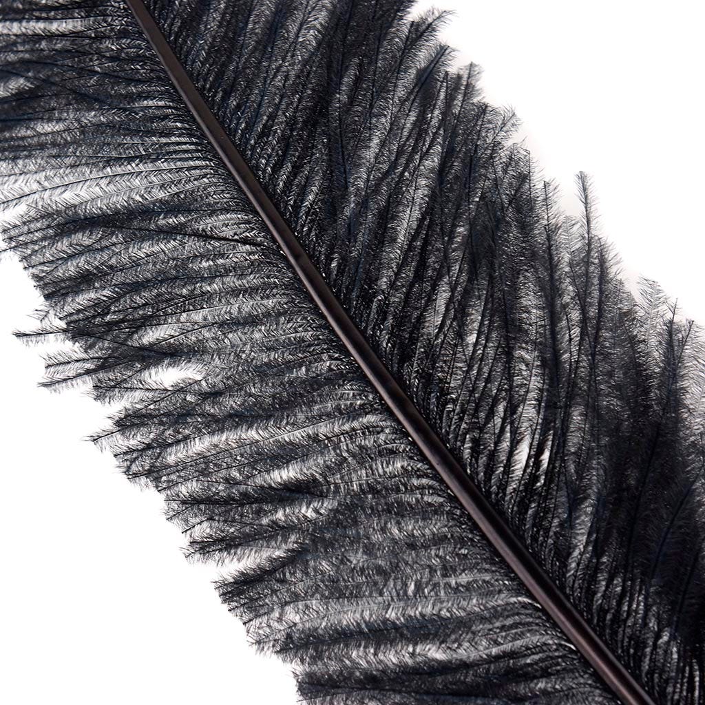 Ostrich Spad Feathers Trimmed w/Natural Markings Black - Feathers