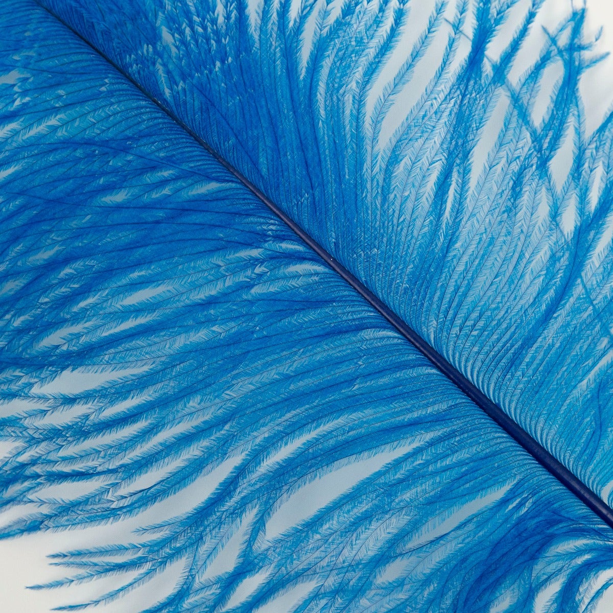 Ostrich Tails 16-18 inch - 30 PC - Dark Turquoise - Feathers