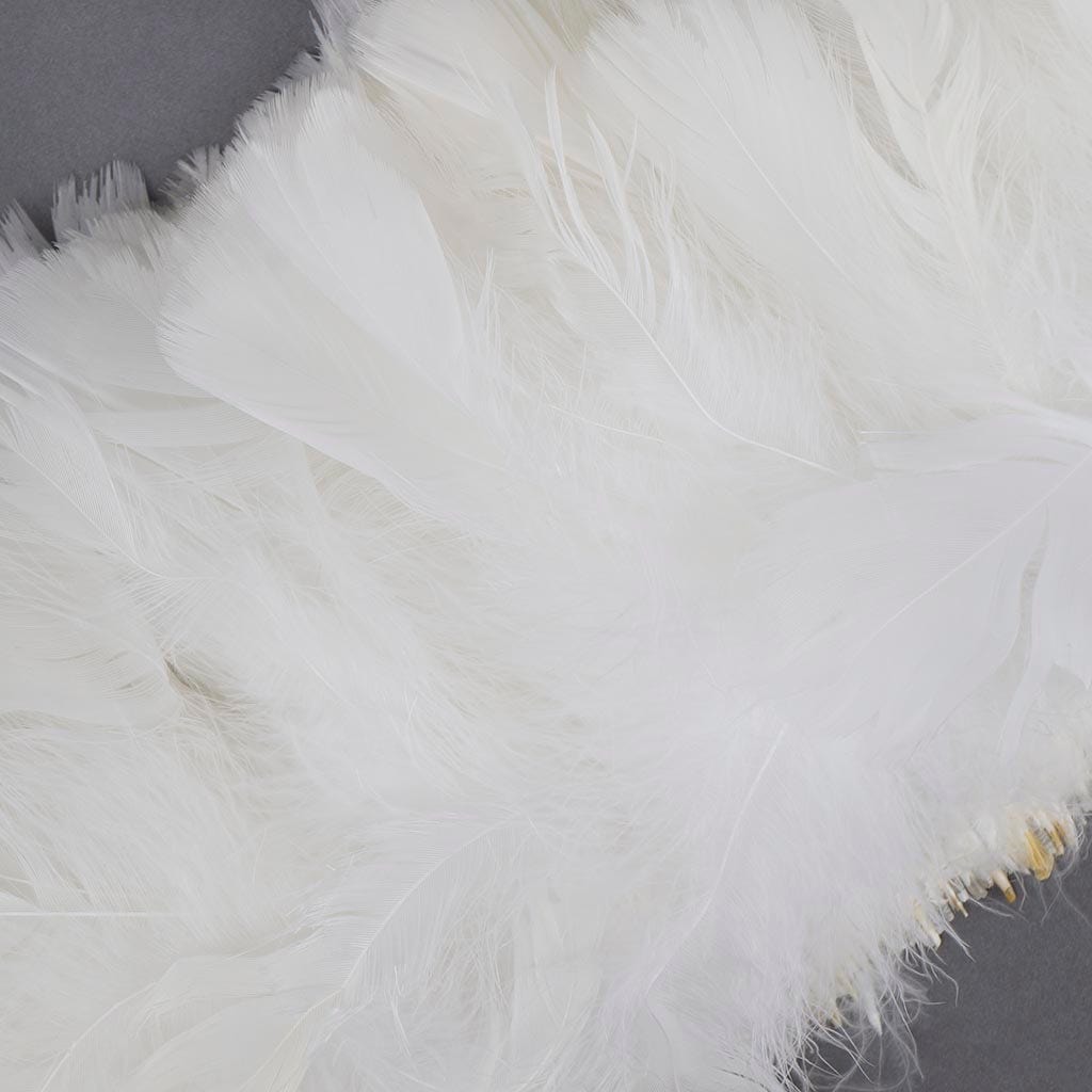 Parried Turkey Ruff Feathers- 1/2YD - White - Feathers