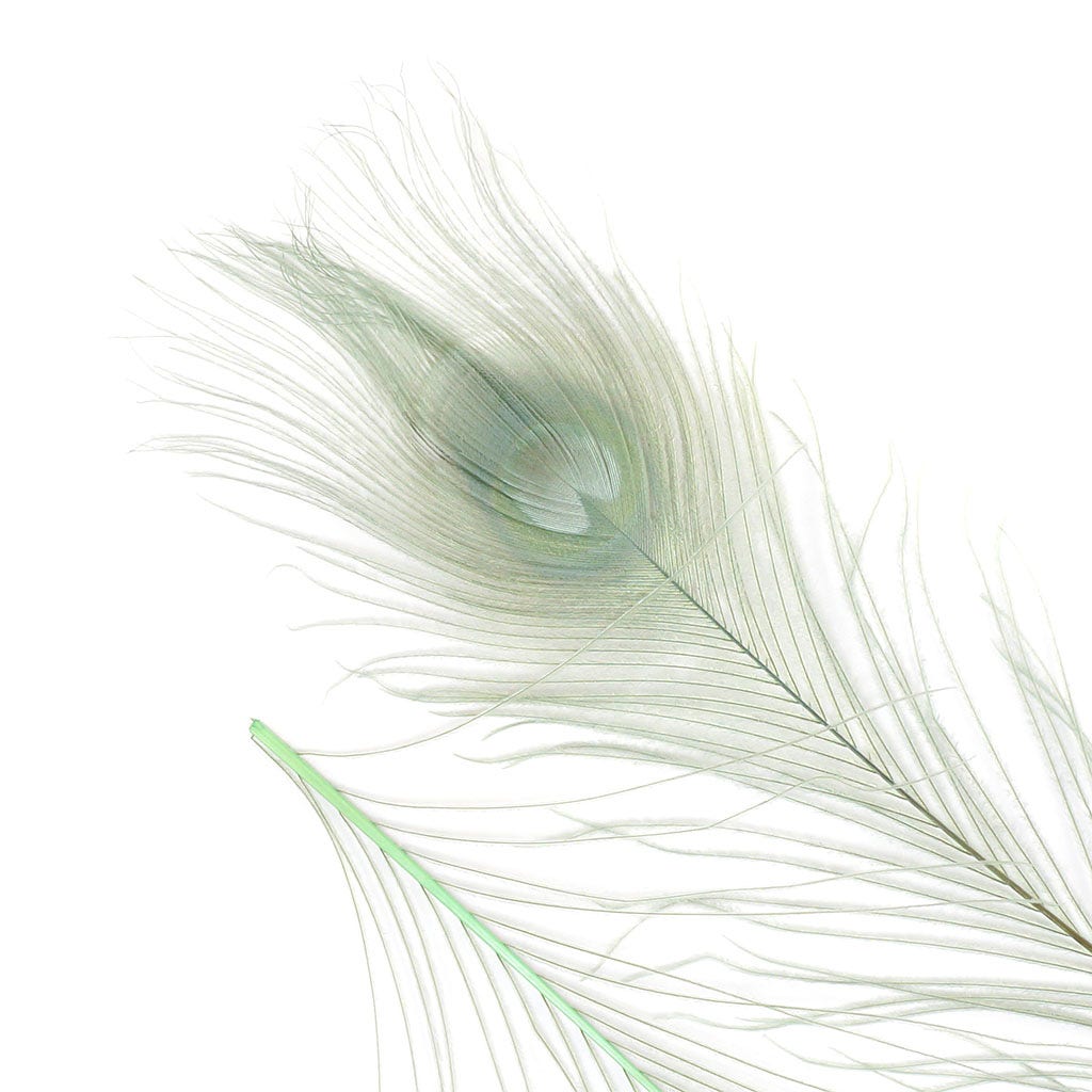 Peacock Feather Eyes Bleached & Dyed Celedon - Feathers