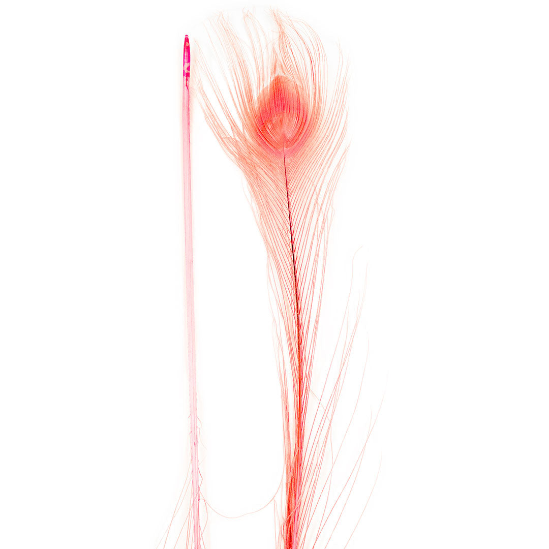 Peacock Feathers | 25-40’’ Tail Eyes | Candy Pink - Peacock Feathers